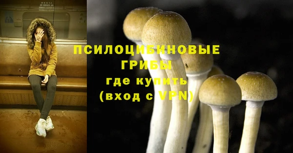 не бодяженный Осинники