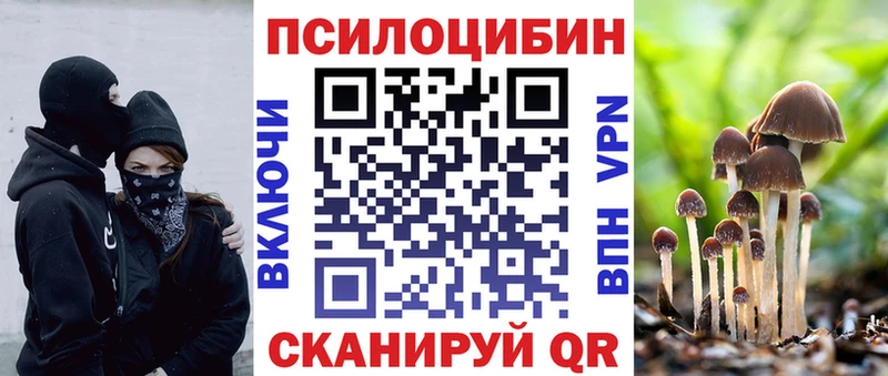 mega tor  что такое наркотик  Севск  Псилоцибиновые грибы MAGIC MUSHROOMS 